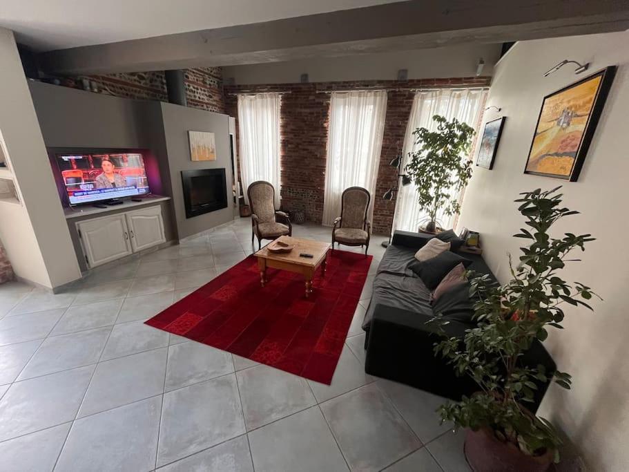 Magnifique Maison Toulousaine Toulouse Exteriér fotografie